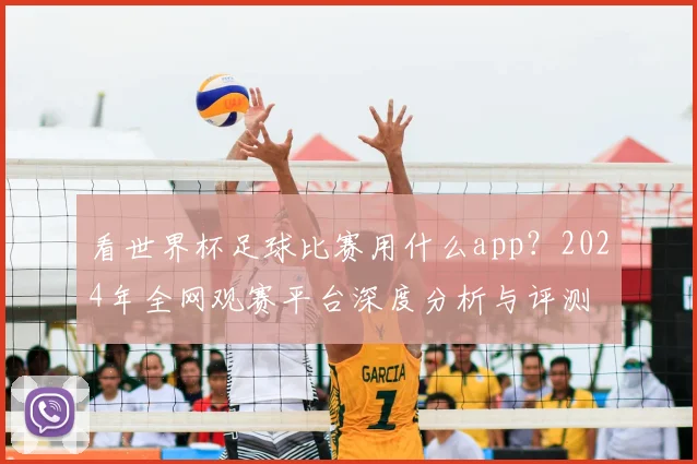 看世界杯足球比赛用什么app?2024年全网观赛平台深度分析与评测